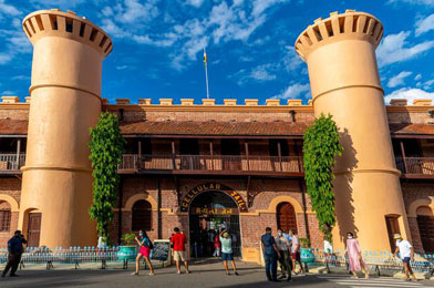 Mesmerizing Glimpses Package