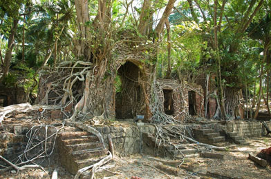 Group Delight Package