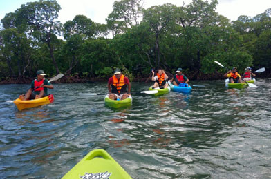 Andaman Group Pleasure