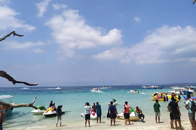 Exotic Group Package